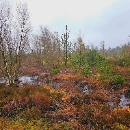 6 Person In 度假居 *