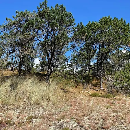 펜션 6 Person In *